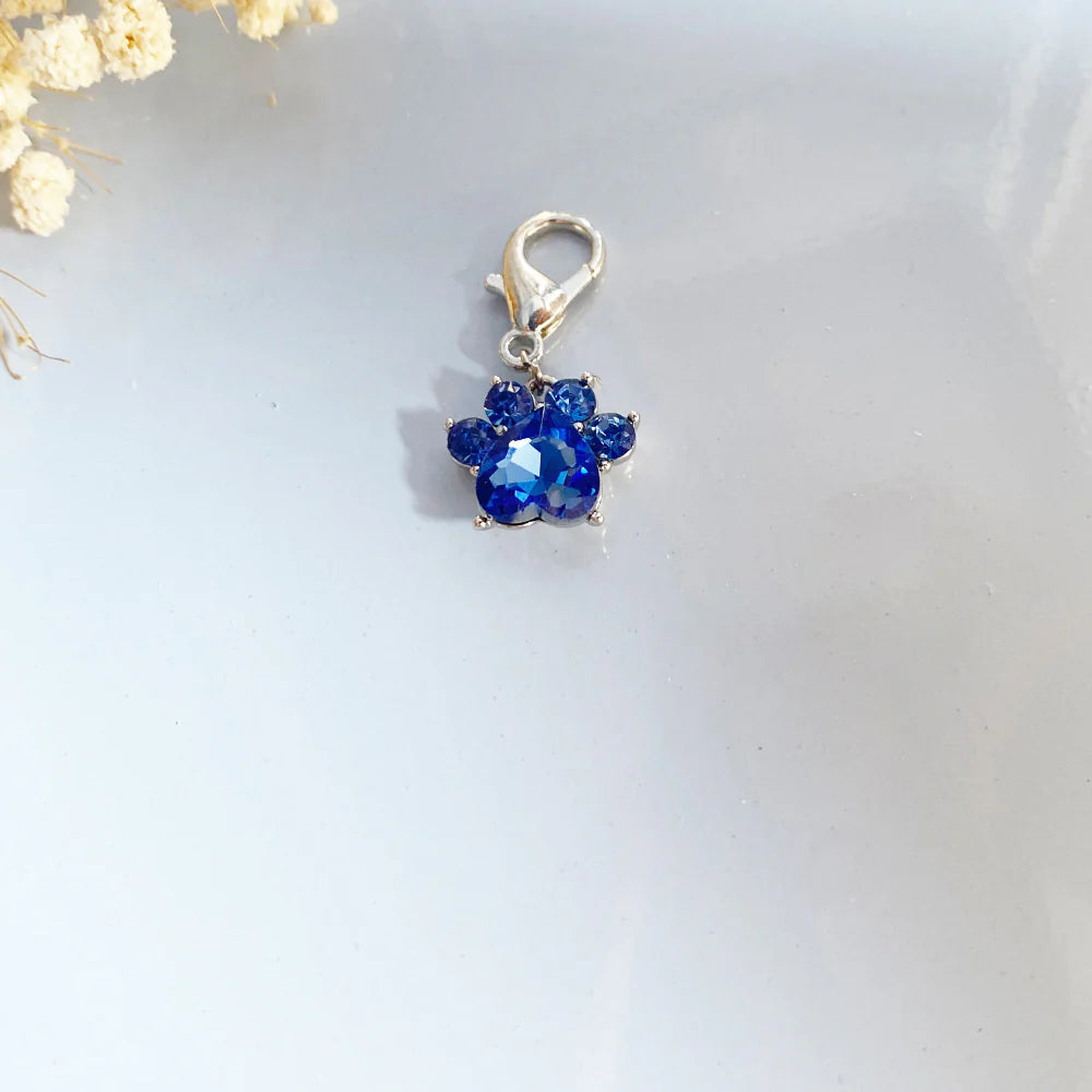 Paw Print Birthstone Keychains
