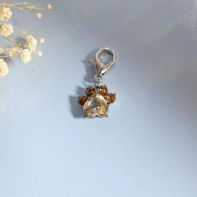 Paw Print Birthstone Keychains