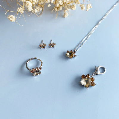 Paw Print Birthstone Jewelry Set
